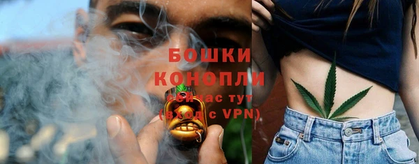винт Белокуриха