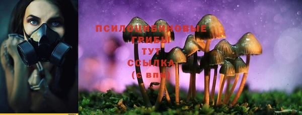дживик Беломорск