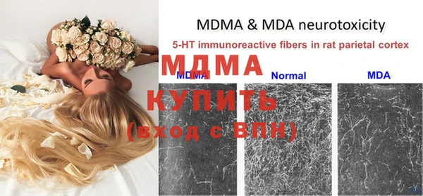 винт Белокуриха