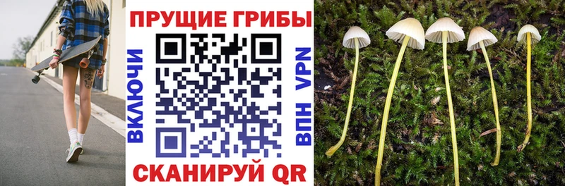 Галлюциногенные грибы мицелий Вельск