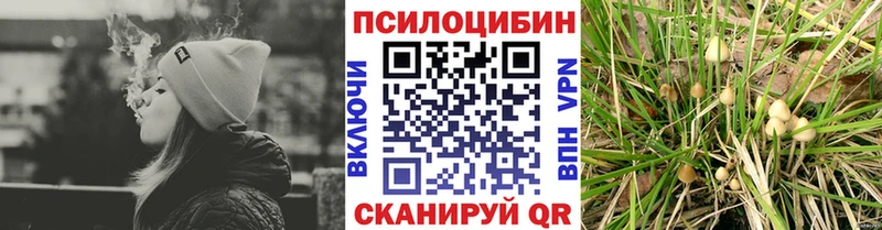 Галлюциногенные грибы GOLDEN TEACHER  Вельск 